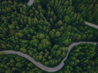 The environment